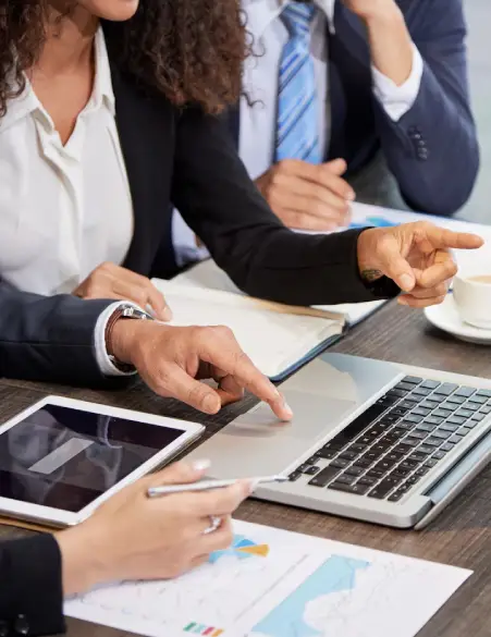 Turtle Bear Team Collaborating in a Modern Office